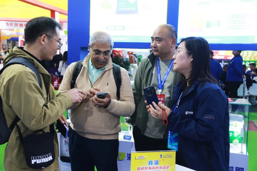 全国磷复肥会英国上市公司365亮点纷呈备受瞩目