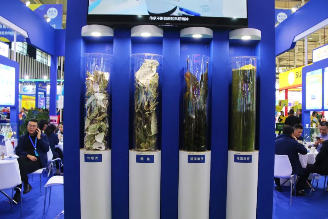 全国磷复肥会英国上市公司365亮点纷呈备受瞩目