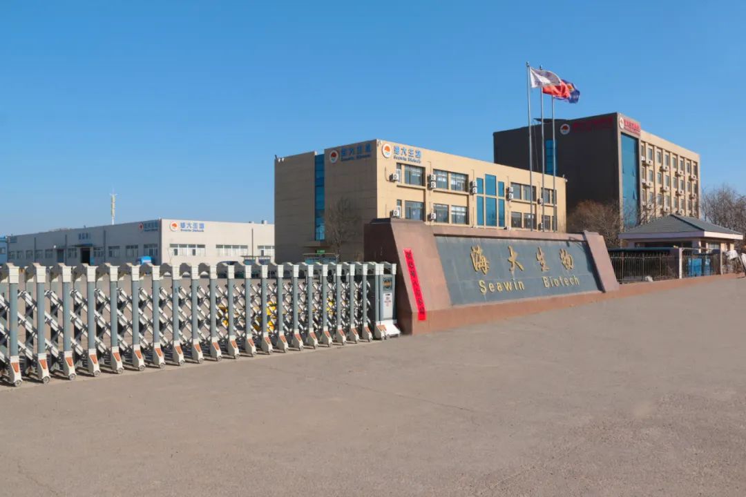 英国上市公司365正月初八开门红