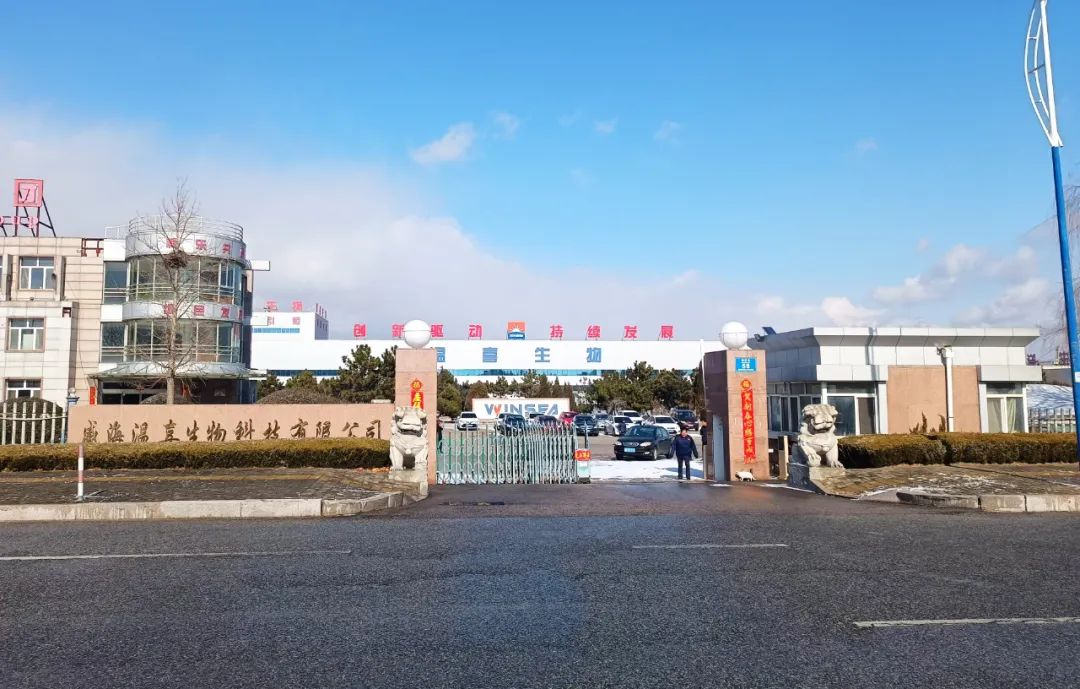 英国上市公司365正月初八开门红