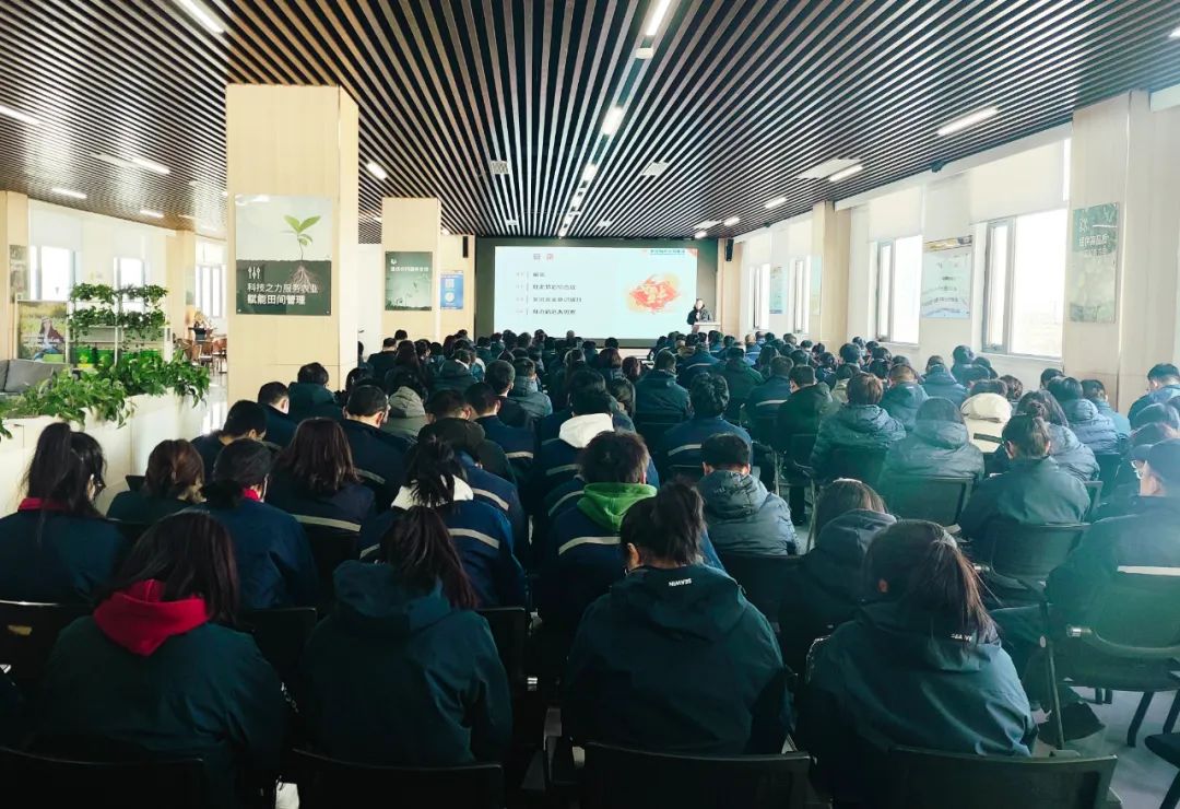 英国上市公司365正月初八开门红