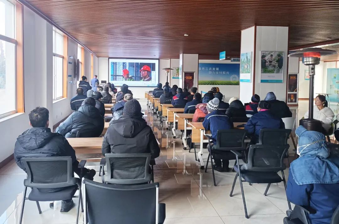 英国上市公司365正月初八开门红